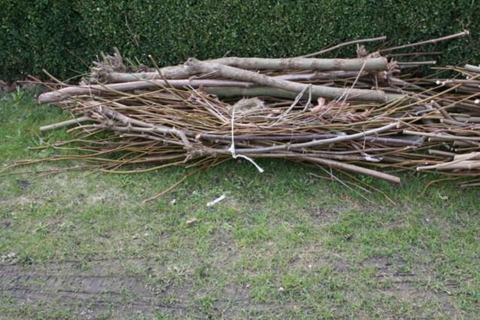 In Dessel kun je binnenkort snoeihout gratis laten verhakselen.