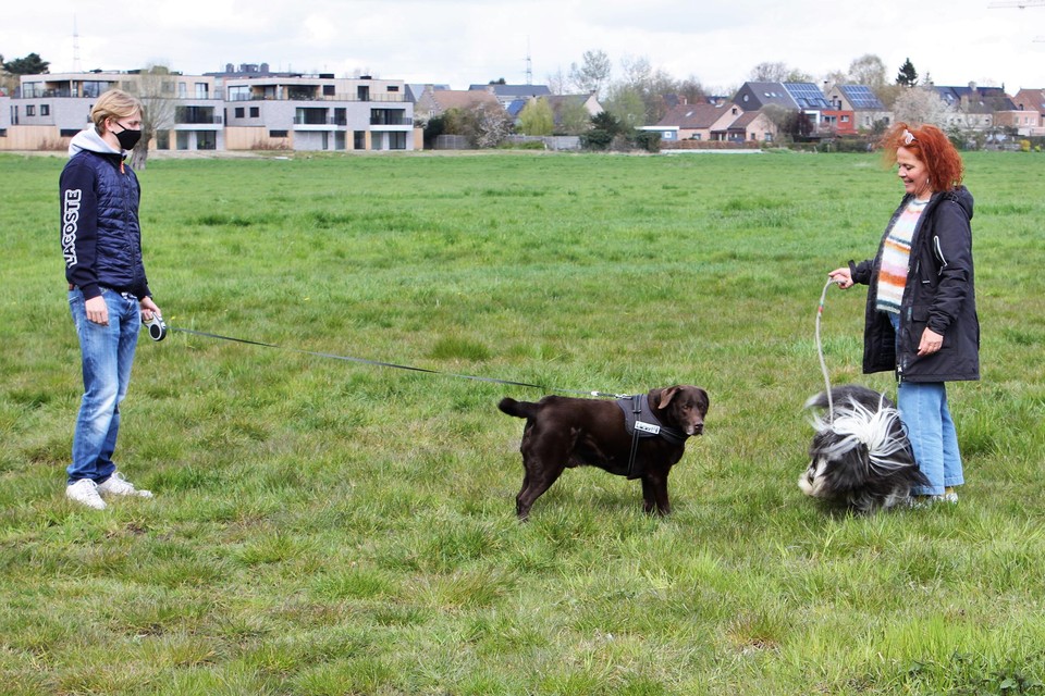 Twee baasjes komen al eens kijken naar de toekomstige hondenspeelweide.