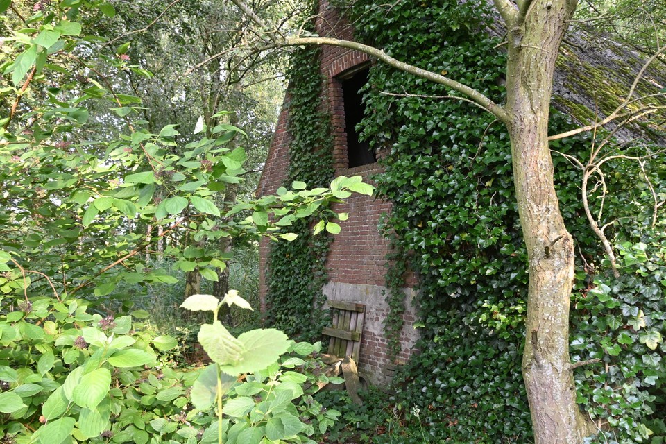 De Weeltjeshoeve is totaal overwoekerd.