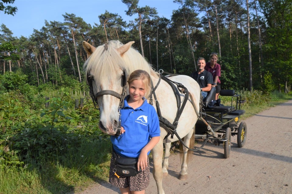 Laura De Bruyn (9) met haflinger Nelson. Johan De Bruyn en Greet Aka zitten op de koets.