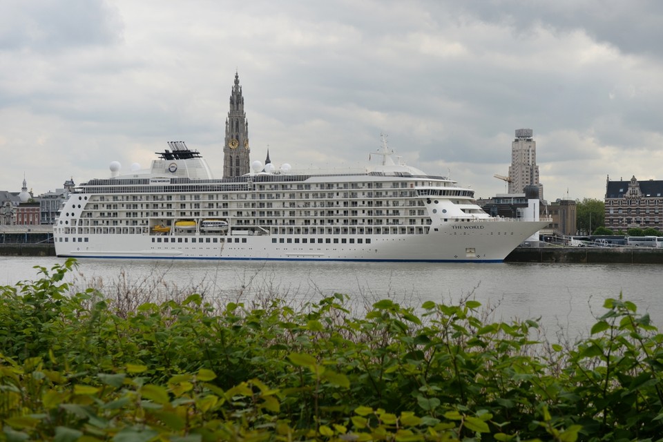 Een cruiseschip in Antwerpen. Vorig jaar meerden er dertig aan in de Scheldestad. 