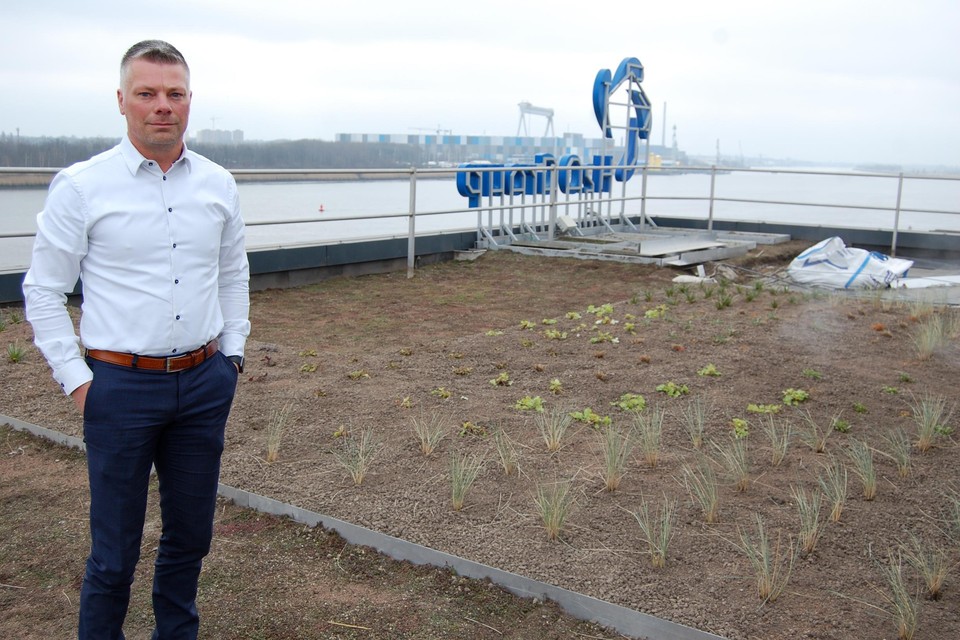 Co-CEO van Argex Johny Bultheel op het moerasdak dat het kantoorgebouw van zuiver water voorziet.