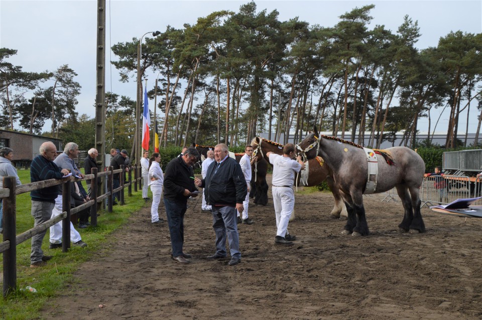 De prijskamp in Pulderbos was rond 15u afgerond.