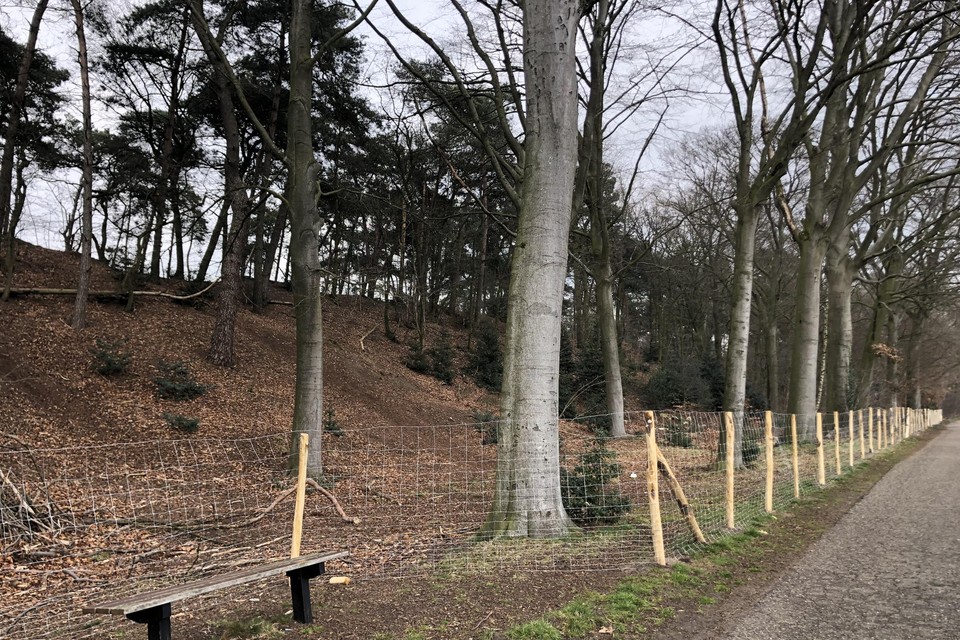 Een groot gedeelte van de heuvels is voortaan verboden toegang.