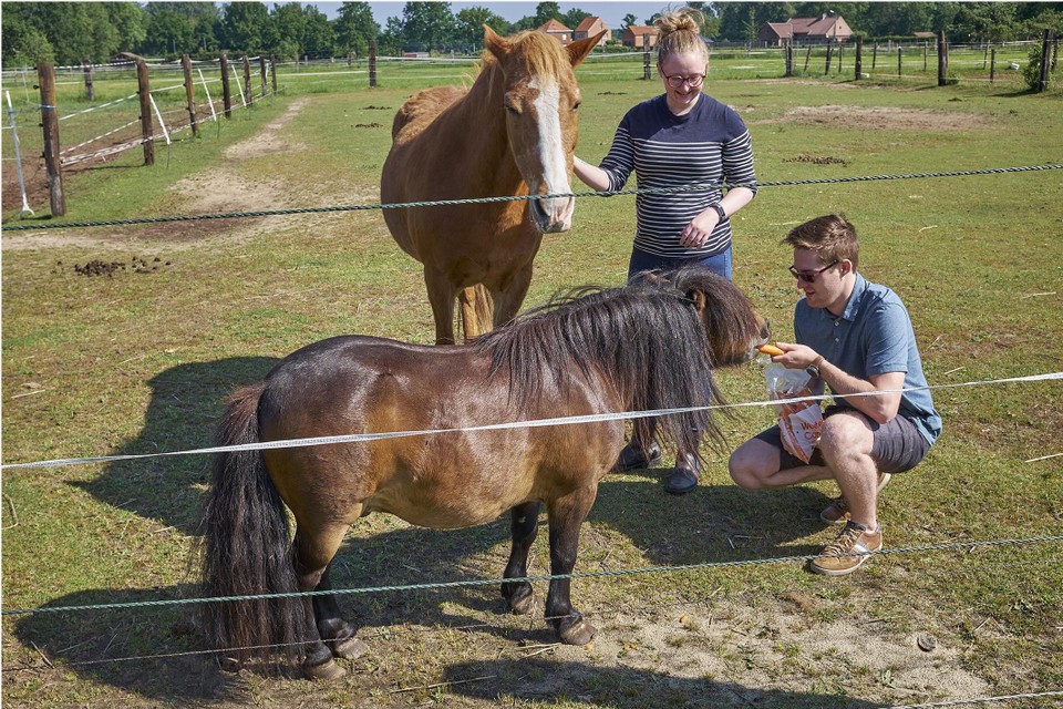 Twee jonge bewoners van Lichtaart zijn met hun paardjes bezig.