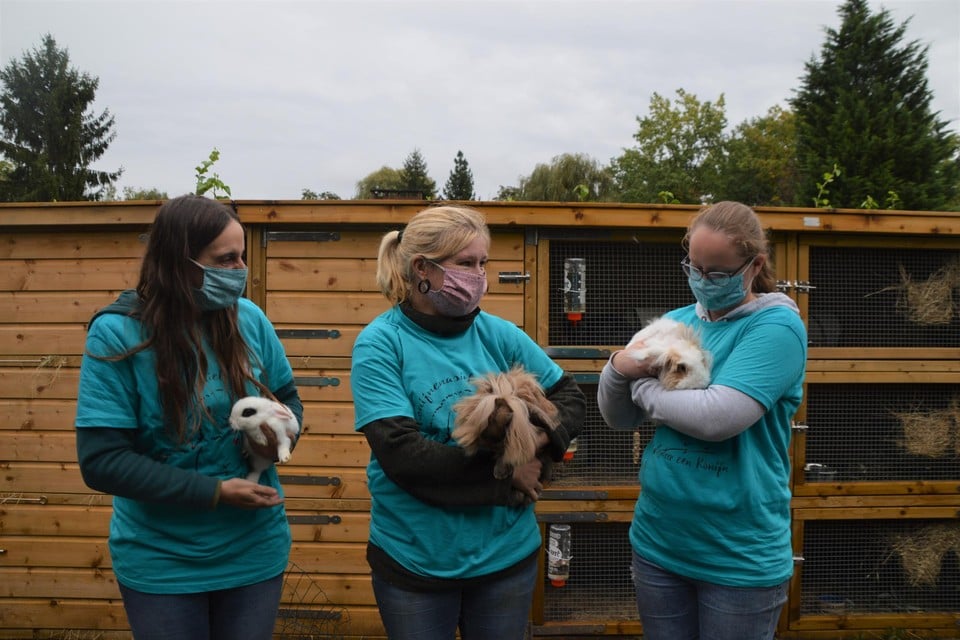 Van links naar rechts Wendy Janssen, Annelies Coosemans en Sien Vervecken van konijnenopvang Adopteer een Konijn. 