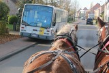 thumbnail: null