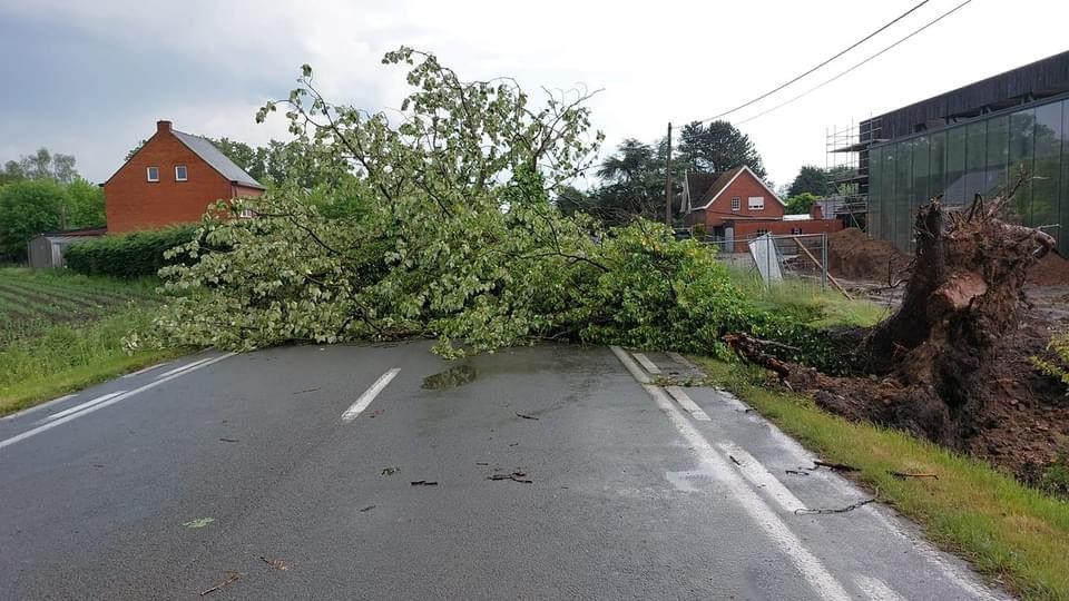 De N10 in Heist-op-den-Berg was volledig versperd door een omgevallen boom. 