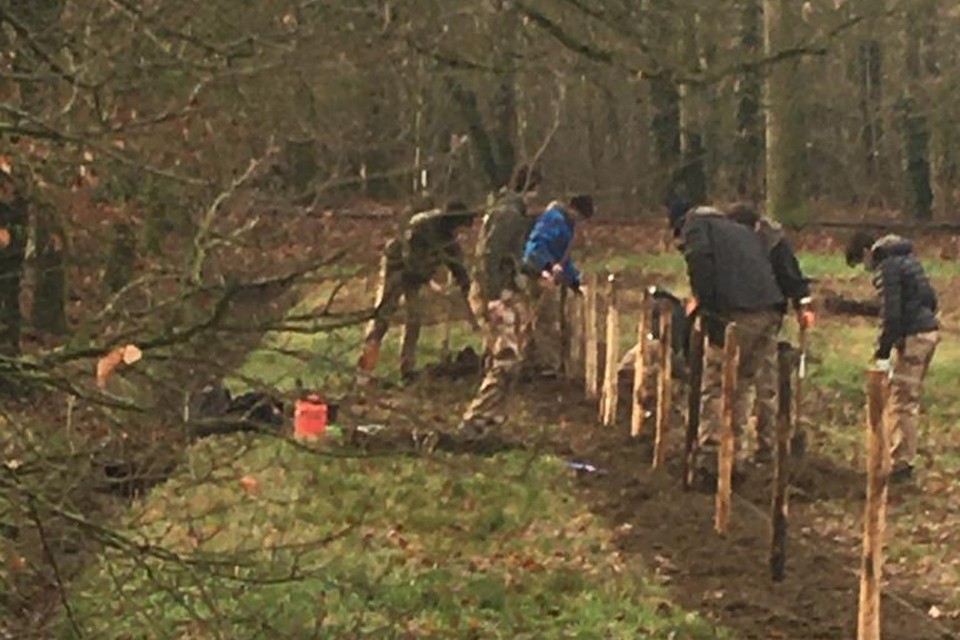 Enkele leerlingen van het GO! Atheneum staken maandag samen met b-Tree de handen uit de mouwen aan het Pelgrimhof