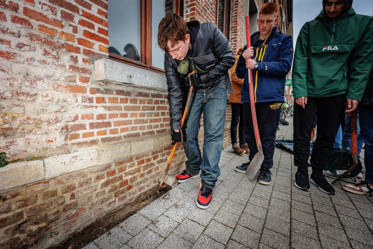 weduwe honderd ik wil Mechelen onthardt voor Vlaams kampioenschap Tegelwippen: “We moedigen onze  inwoners aan om een tegeltuin aan te leggen” (Mechelen) | Gazet van  Antwerpen Mobile