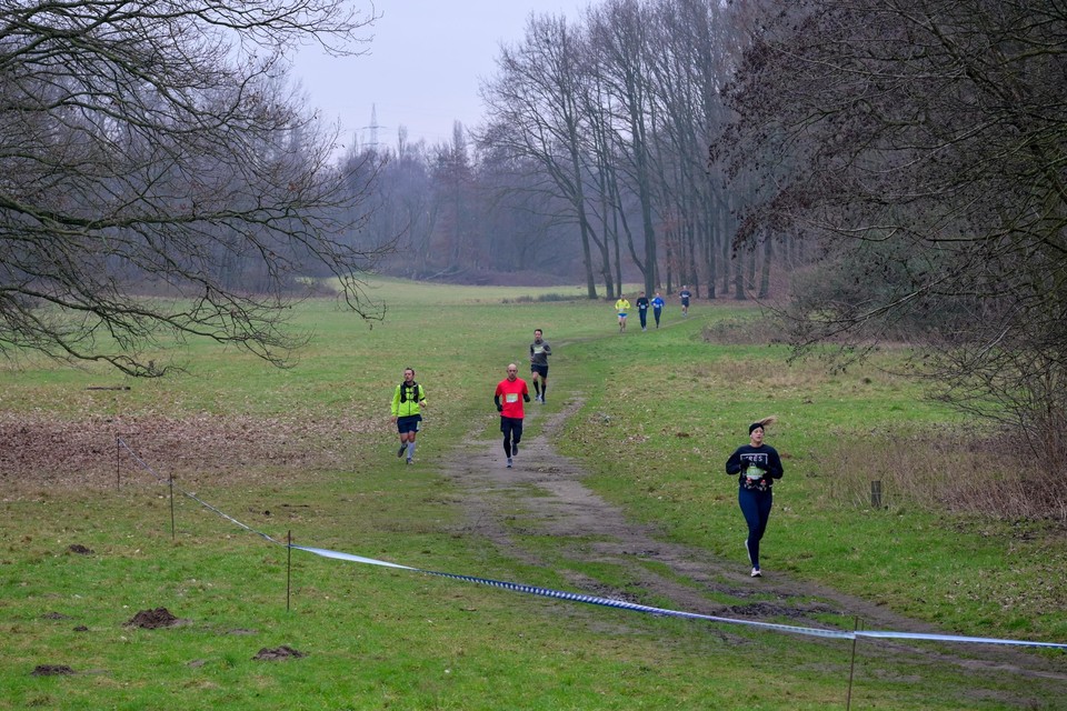 Antwerp Park Run: een stadsloop door de groene long van Antwerpen 